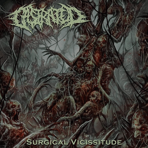 Castrated : Surgical Vicissitude